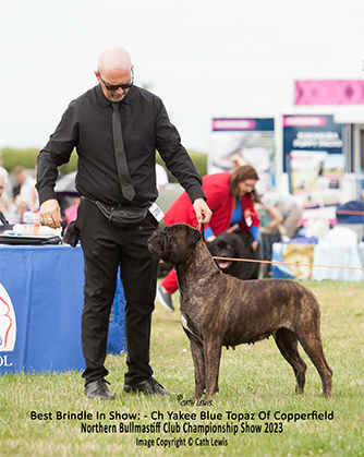 NBC Champ. Show November 2023